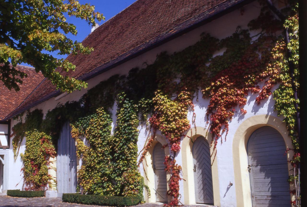 Markgraeflich Badischer Gasthof Schwanen Salem  Εξωτερικό φωτογραφία