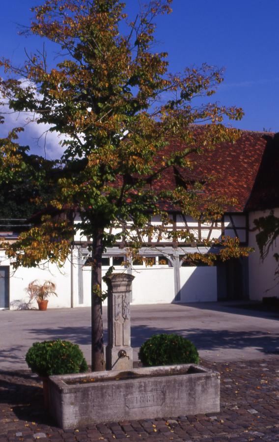 Markgraeflich Badischer Gasthof Schwanen Salem  Εξωτερικό φωτογραφία